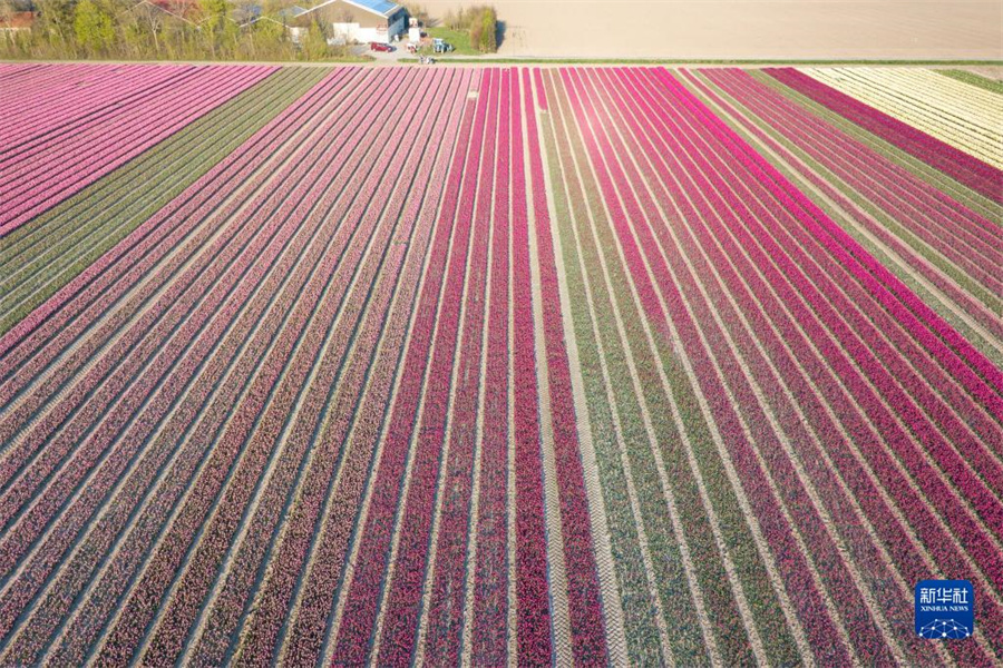 @414ںmRmʡĔz㻨o˙C(j)ƬAӛ 䅔z