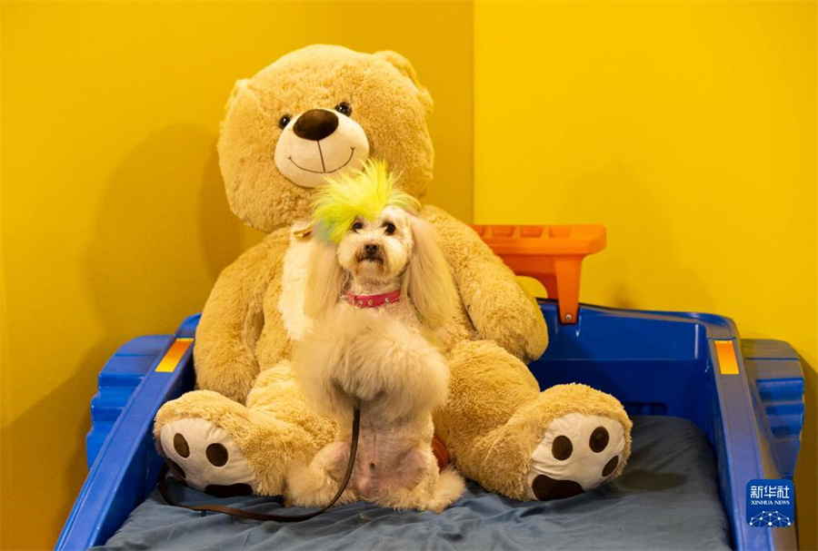 415գڼôekļô󴺼ﲩ[һֻȮڌӰӰAl(f)uz