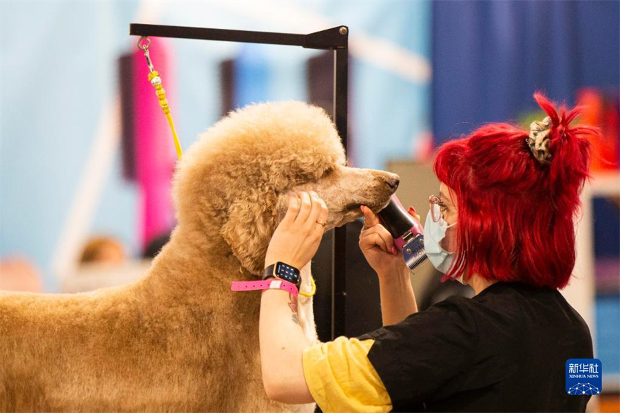 415ڼôekļô󴺼ﲩ[(hu)ݎһֻȮݡAl(f)uz