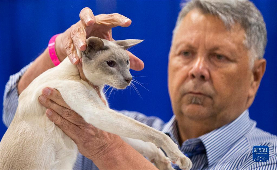 415ڼôekļô󴺼ﲩ[һֻ؈ڱِнuAl(f)uz