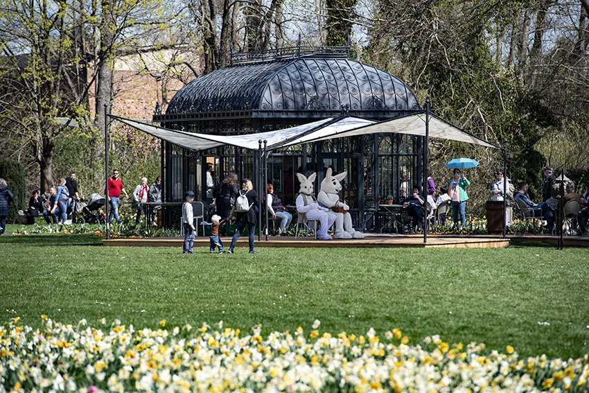 IC PhotoƷՈDd