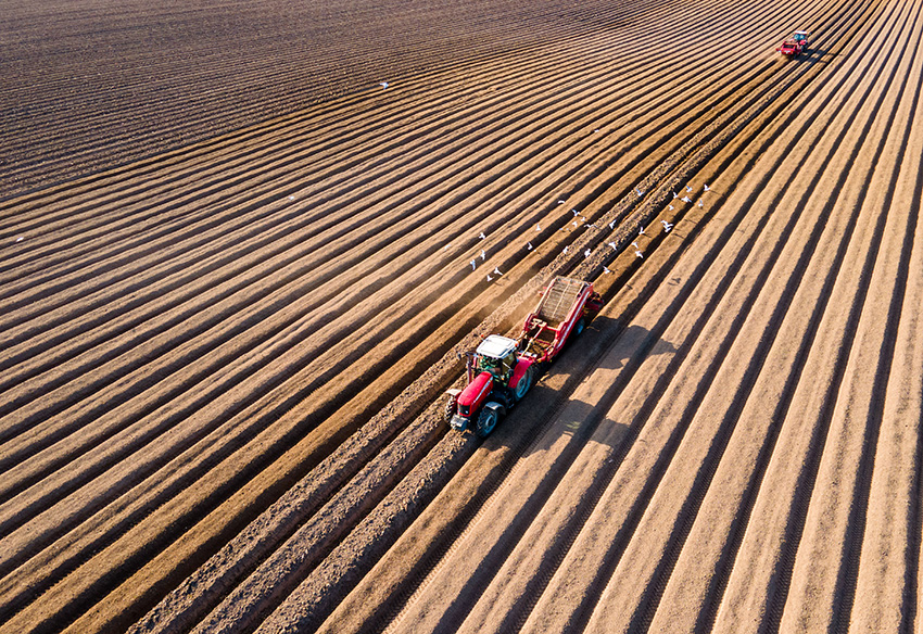 IC Photo(qun)ƷՈD(zhun)d