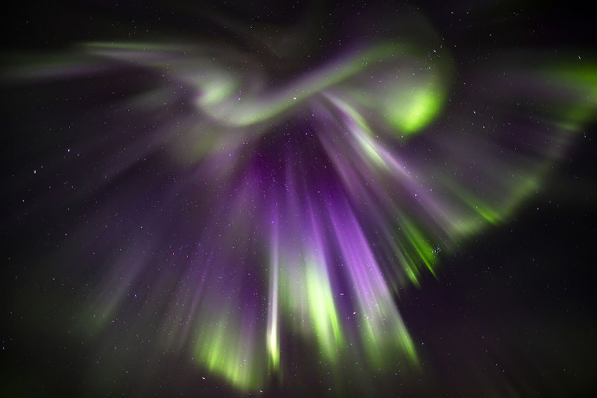 IC Photo(qun)ƷՈD(zhun)d