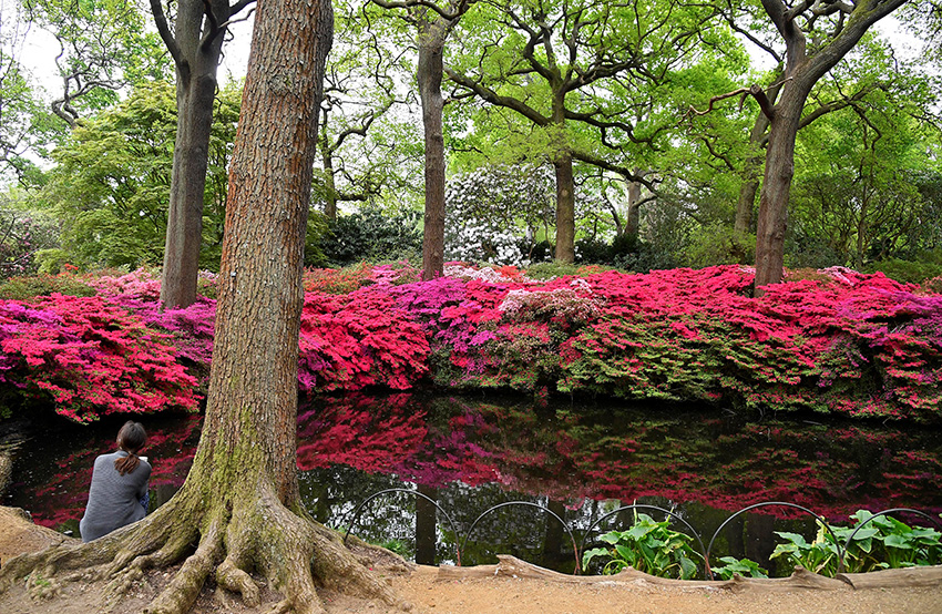 IC Photo(qun)ƷՈD(zhun)d