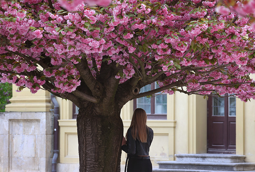 IC Photo(qun)ƷՈD(zhun)d