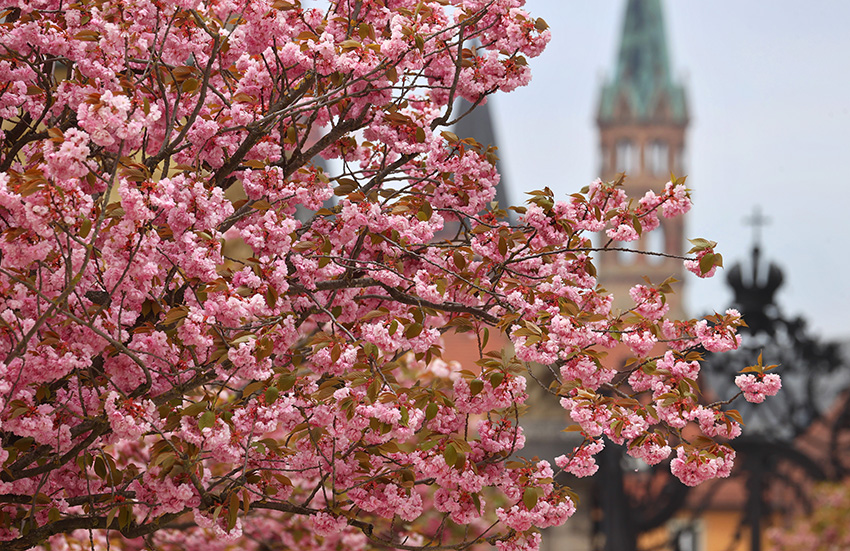 IC Photo(qun)ƷՈD(zhun)d