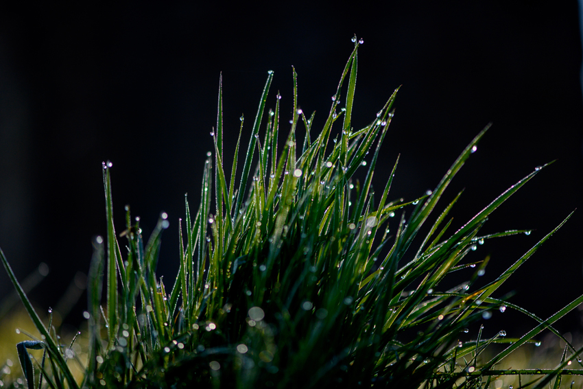 IC Photo(qun)ƷՈD(zhun)d