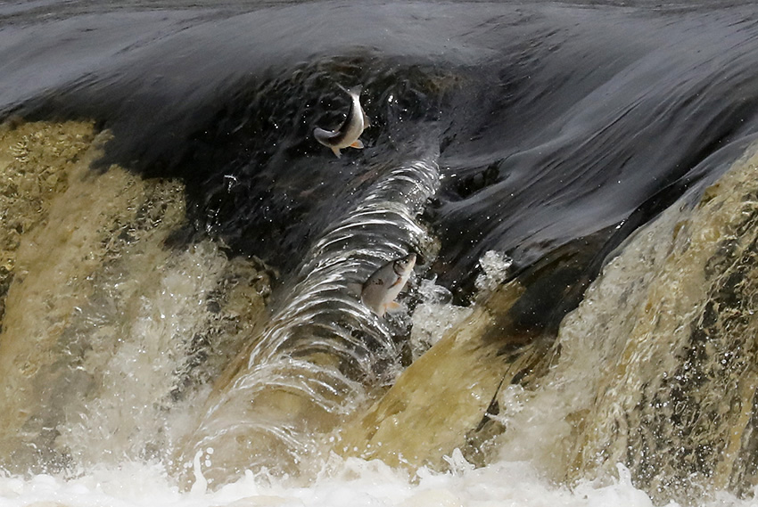 IC Photo(qun)ƷՈ(qng)D(zhun)d