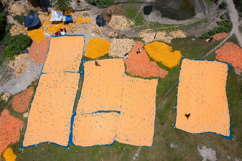 IC PhotoƷՈDd