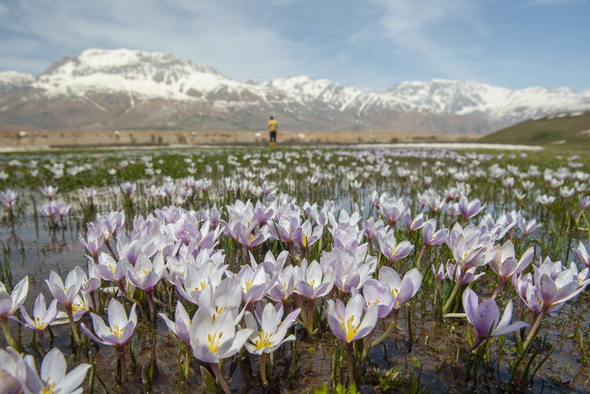 IC Photo(qun)ƷՈD(zhun)d