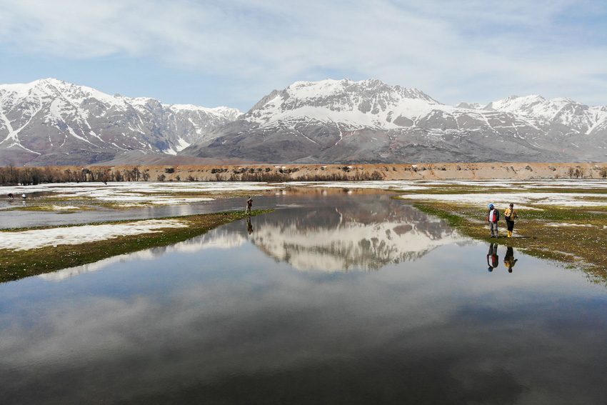 IC Photo(qun)ƷՈ(qng)D(zhun)d