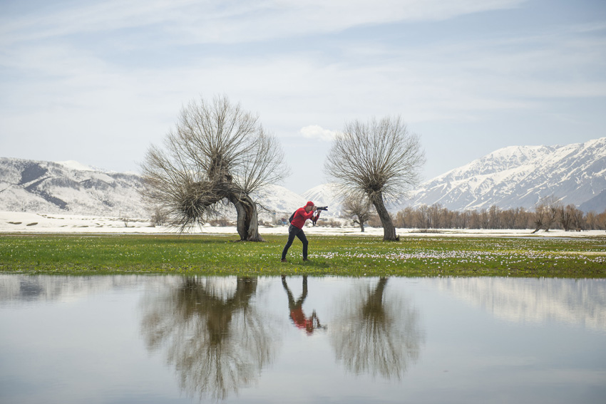 IC Photo(qun)ƷՈ(qng)D(zhun)d