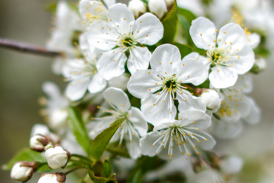 IC Photo(qun)ƷՈD(zhun)d