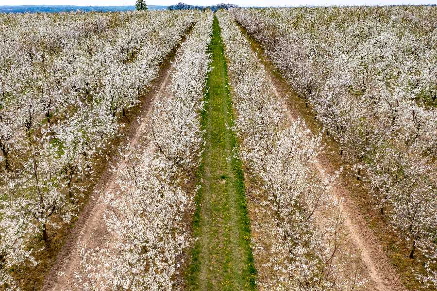 IC Photo(qun)ƷՈ(qng)D(zhun)d