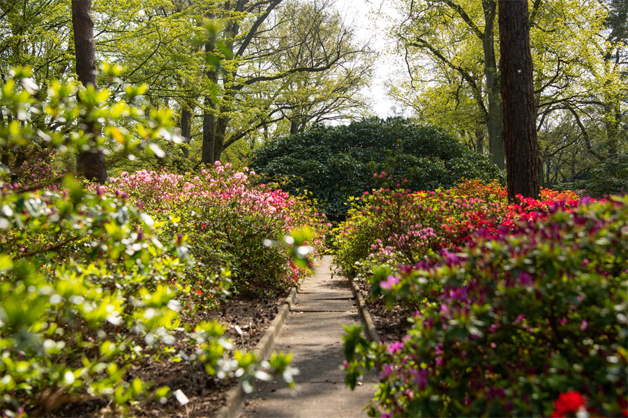 IC Photo(qun)ƷՈD(zhun)d