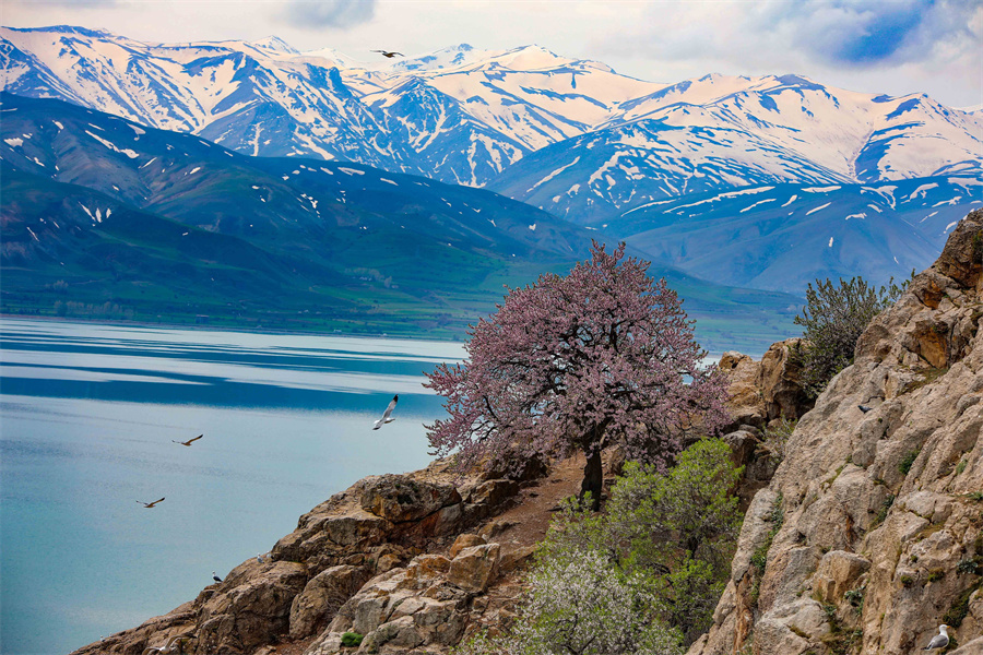 ICPhoto(qun)ƷՈD(zhun)d