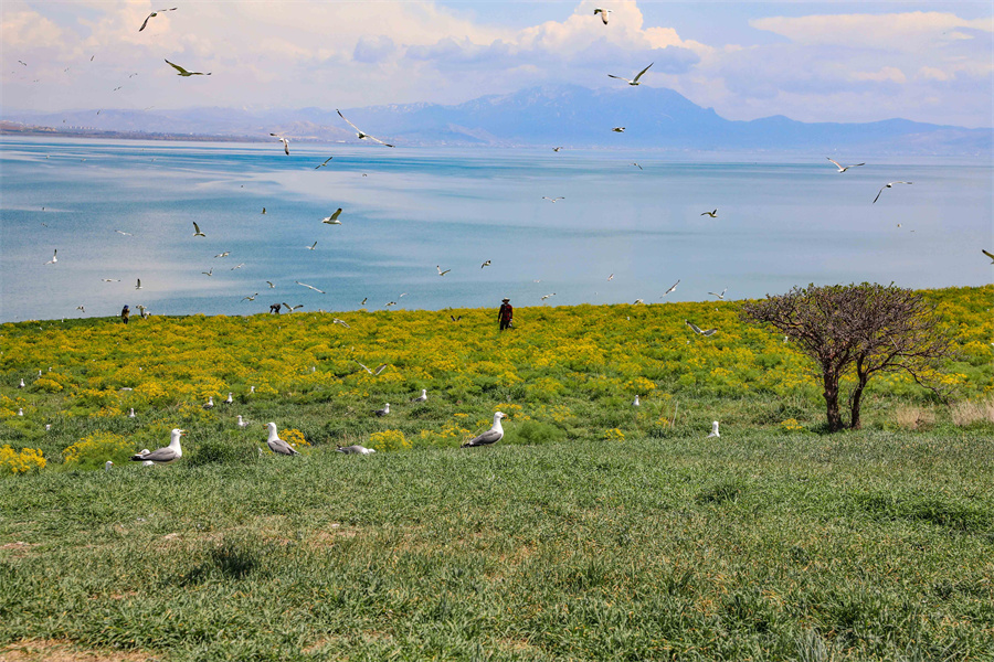 ICPhoto(qun)ƷՈD(zhun)d