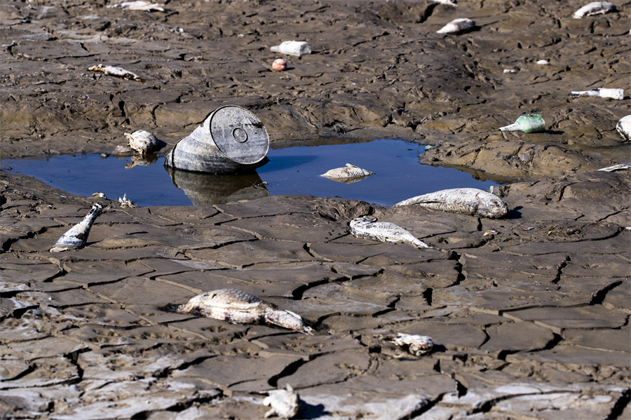 ICPhoto(qun)ƷՈD(zhun)d