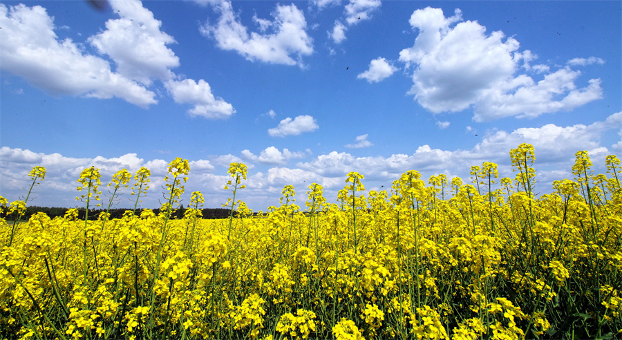 ICPhoto(qun)ƷՈD(zhun)d