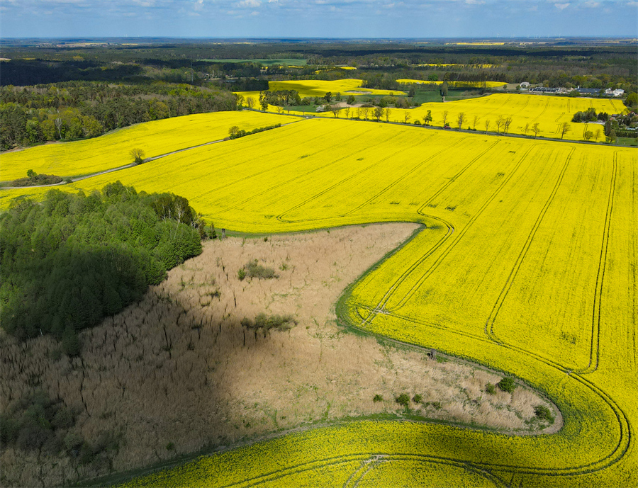 ICPhoto(qun)ƷՈ(qng)D(zhun)d