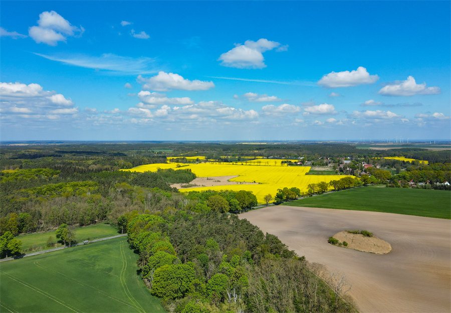 ICPhoto(qun)ƷՈD(zhun)d