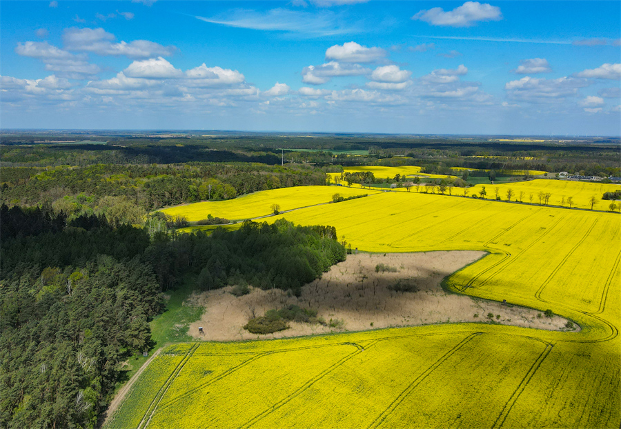 ICPhoto(qun)ƷՈD(zhun)d