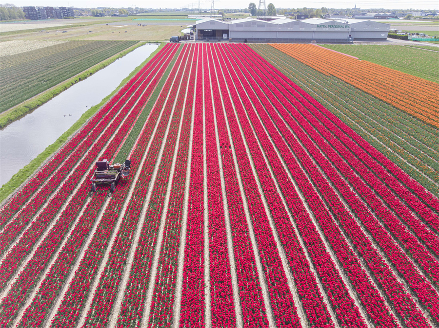 ICPhoto(qun)ƷՈ(qng)D(zhun)d