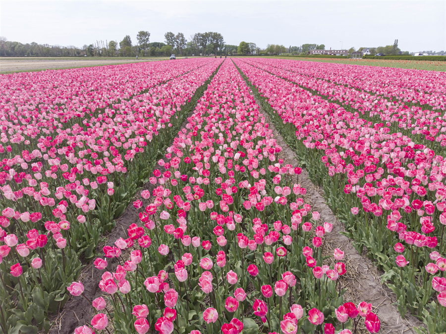 ICPhoto(qun)ƷՈD(zhun)d