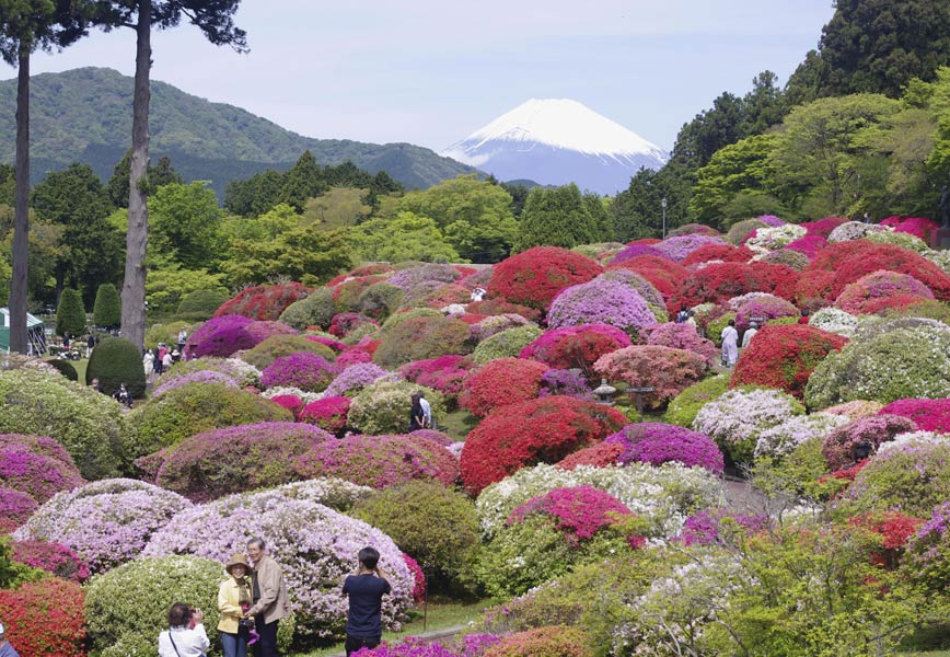 ICPhoto(qun)ƷՈD(zhun)d