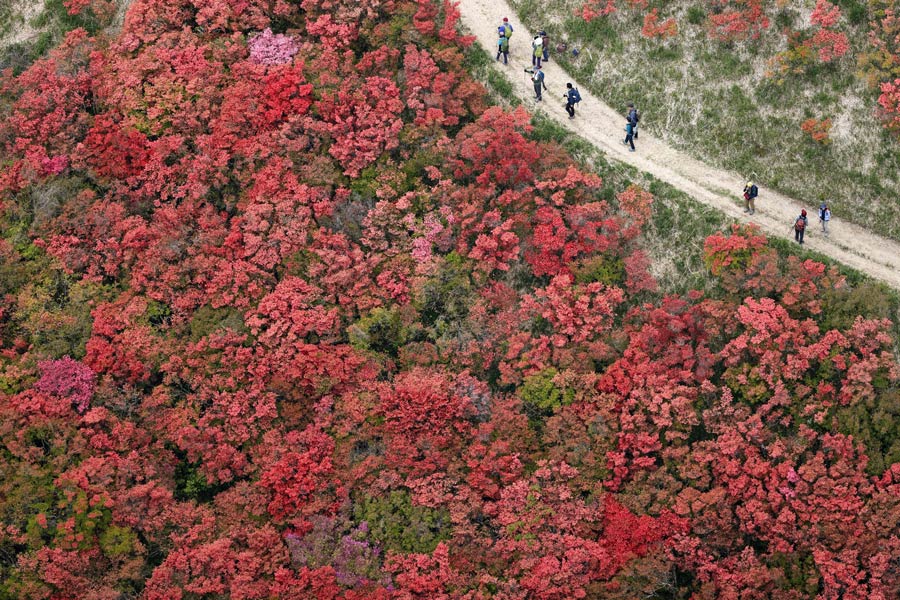 ICPhoto(qun)ƷՈD(zhun)d