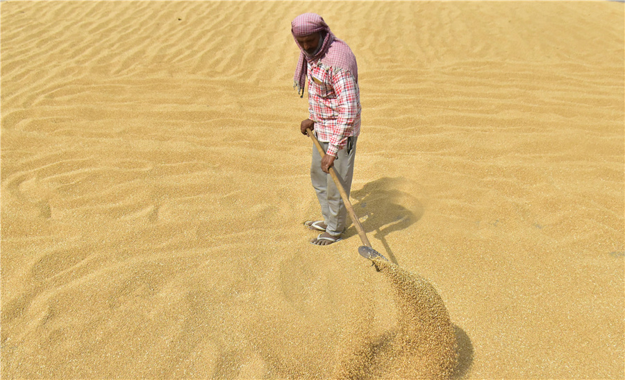 |IC(qun)ƷՈD(zhun)d