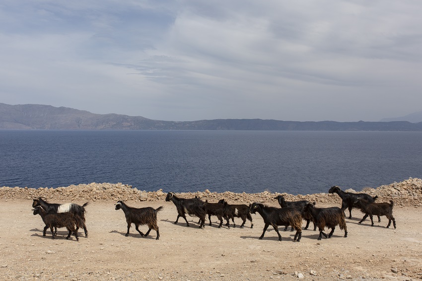 IC Photo(qun)ƷՈ(qng)D(zhun)d