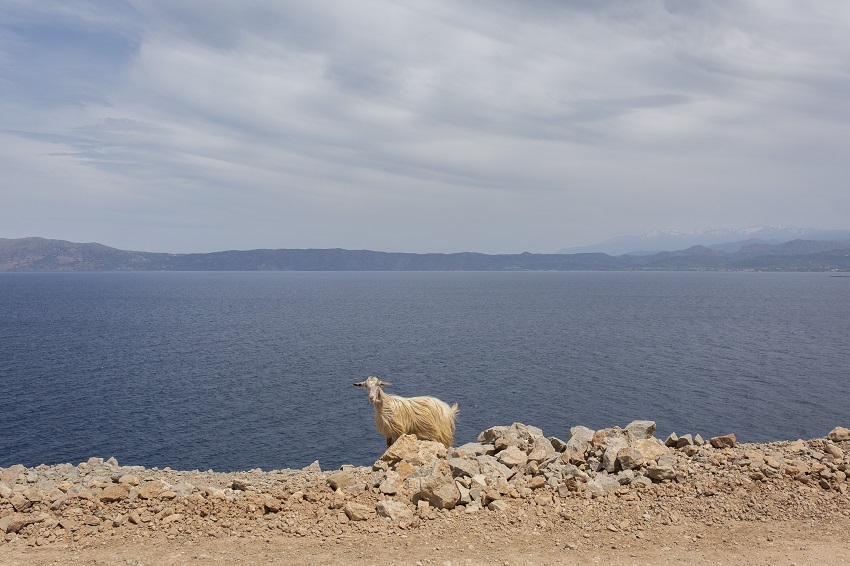 IC Photo(qun)ƷՈD(zhun)d