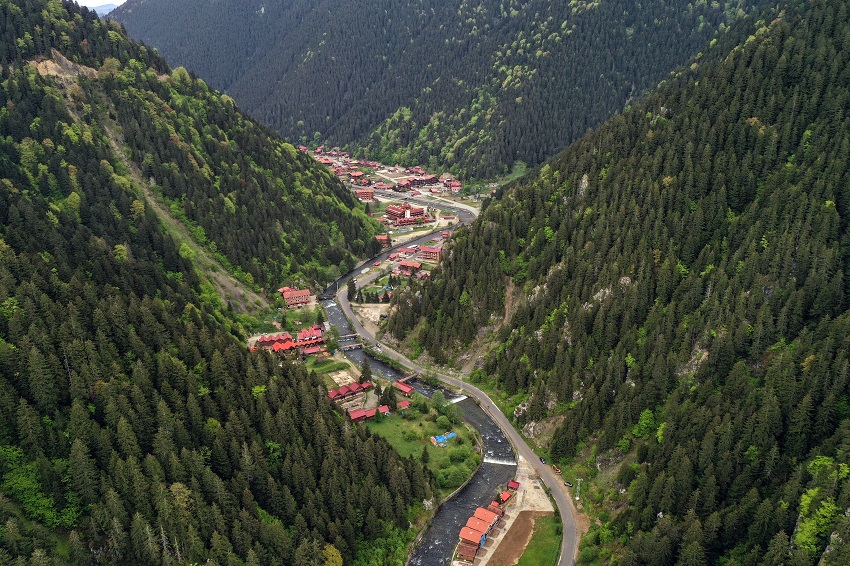 IC Photo(qun)ƷՈ(qng)D(zhun)d