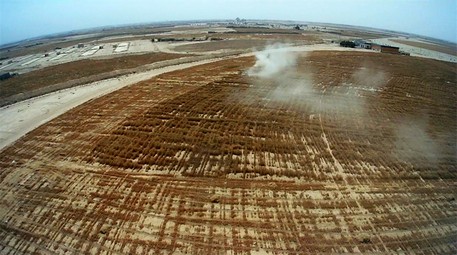 IC PhotoƷՈDd