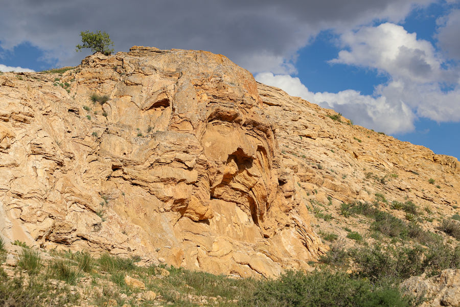 ICPhoto(qun)ƷՈD(zhun)d