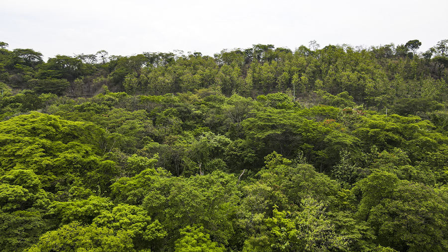 ICPhoto(qun)ƷՈD(zhun)d