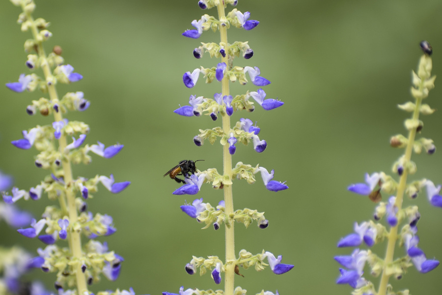 ICPhoto(qun)ƷՈD(zhun)d