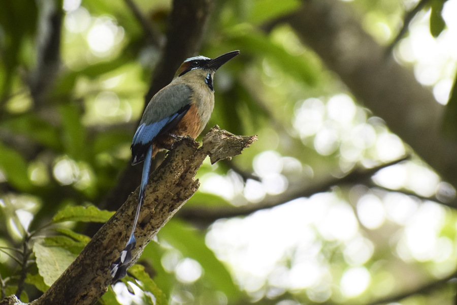 ICPhoto(qun)ƷՈD(zhun)d