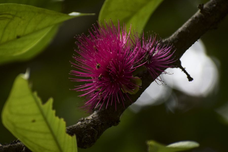 ICPhoto(qun)ƷՈD(zhun)d