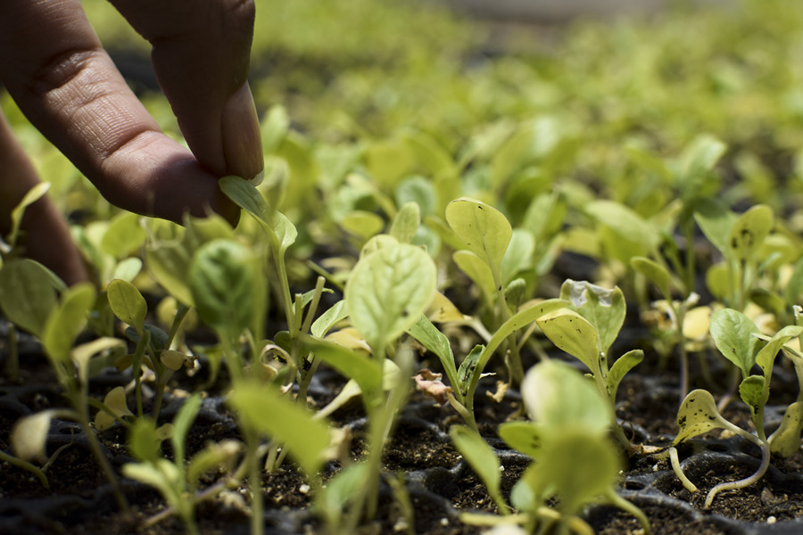 ICPhoto(qun)ƷՈ(qng)D(zhun)d