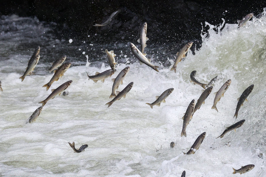 ICPhoto(qun)ƷՈ(qng)D(zhun)d