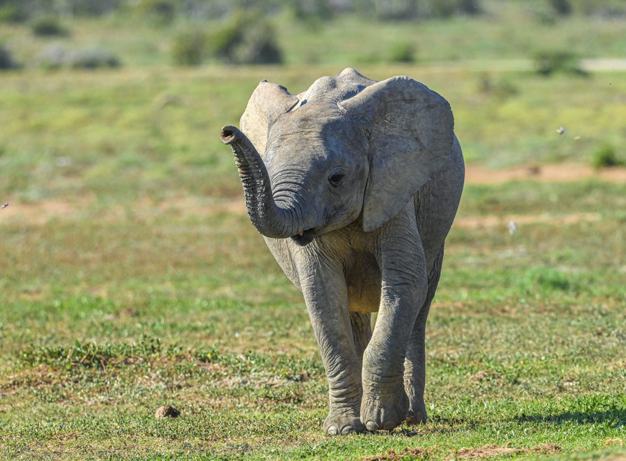 ICPhoto(qun)ƷՈD(zhun)d