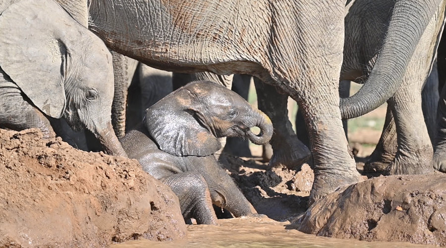 ICPhoto(qun)ƷՈ(qng)D(zhun)d