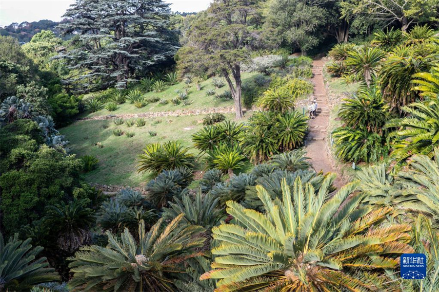 @522Ϸ_նĔzĻ˹ʩֲ@ɫAӛ Ȼ z