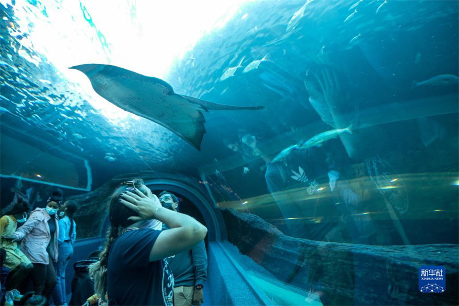 522գϷ_ն˅^ɴˮ^Aӛ Ȼ z