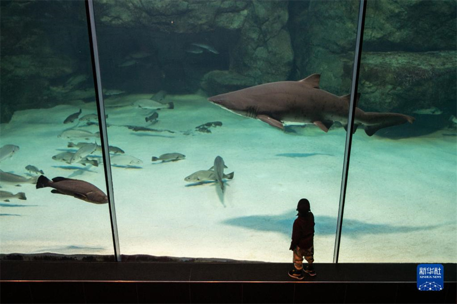 522Ϸ_նڃɴˮ^^P(gun)~ĭh(hun)չ[Aӛ Ȼ z