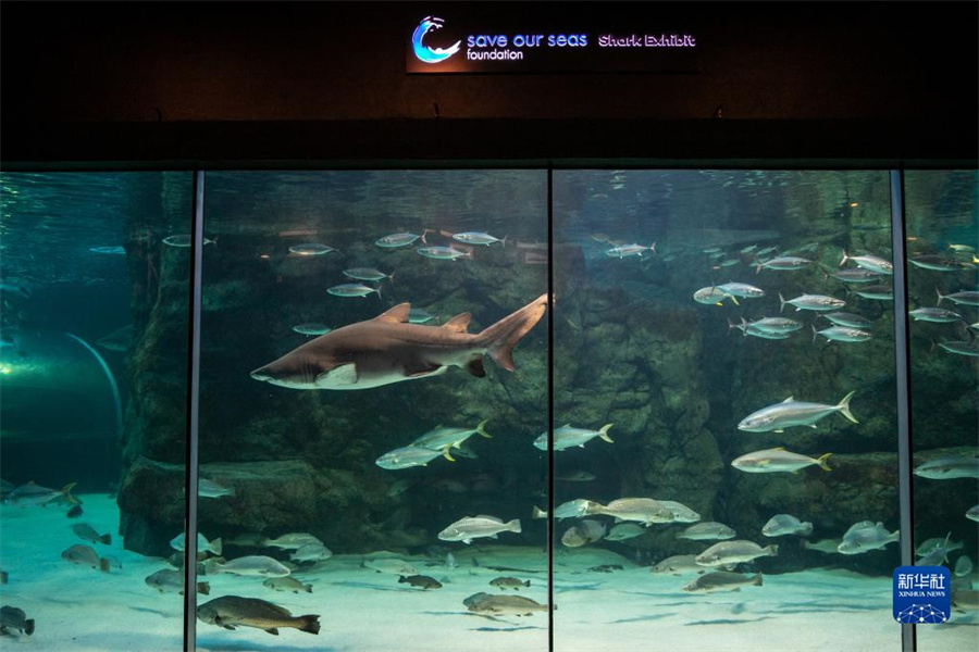 @522Ϸ_ն؃ɴˮ^ĔzP(gun)~ĭh(hun)չ[Aӛ Ȼ z