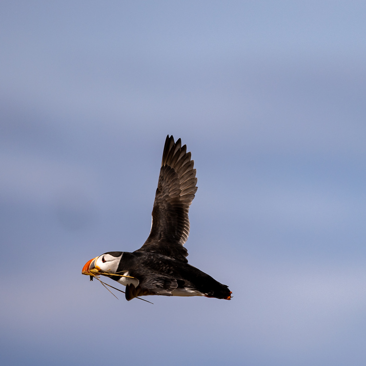 ICPhoto(qun)ƷՈD(zhun)d