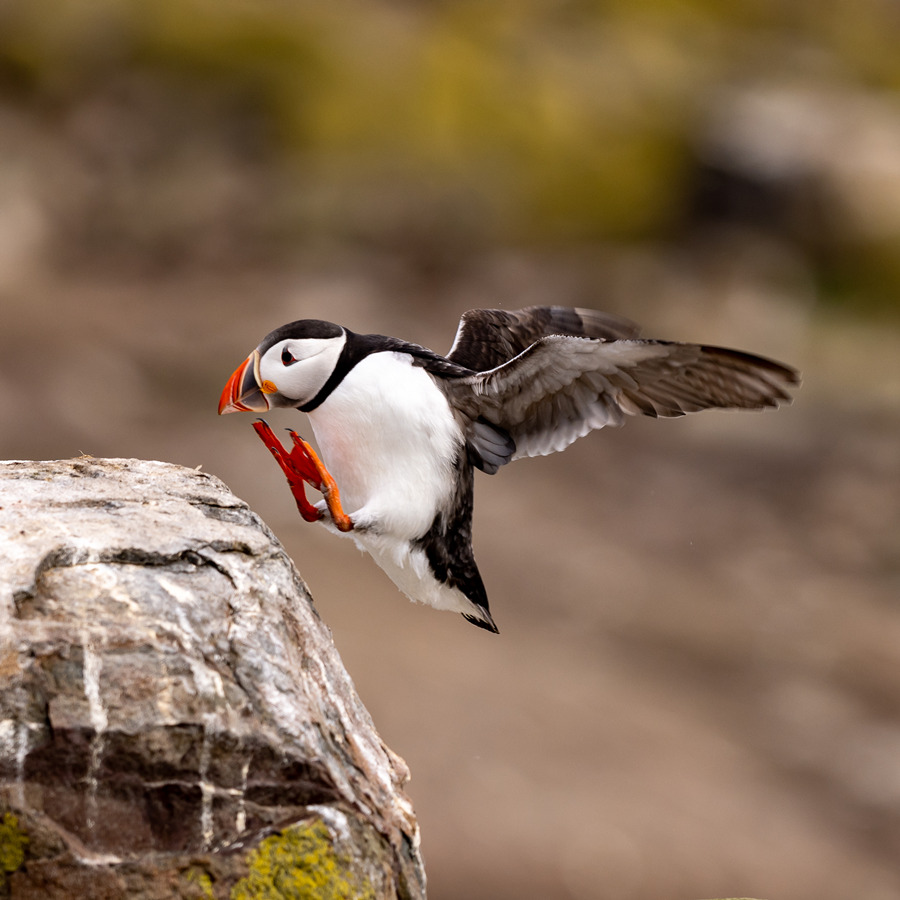 ICPhoto(qun)ƷՈ(qng)D(zhun)d